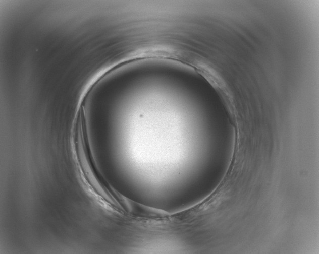 X0000054370960200508051552