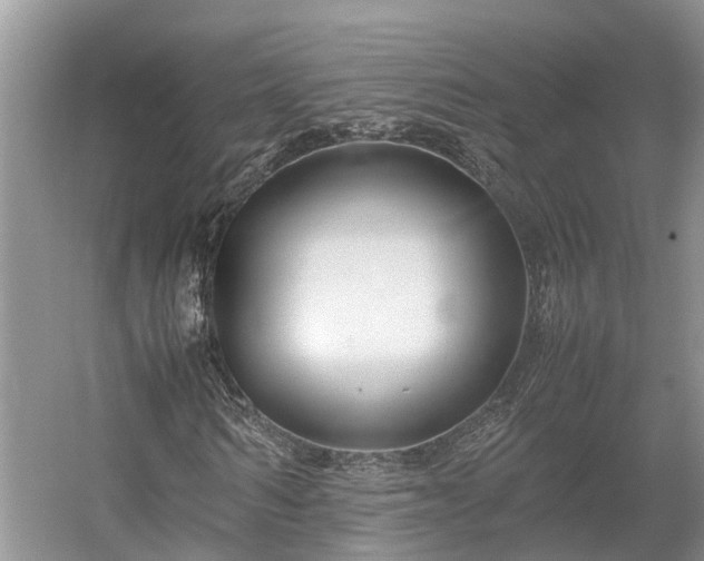 X0000054370962200508051551