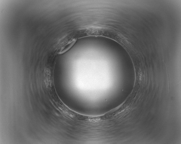 X0000054370964200508051551