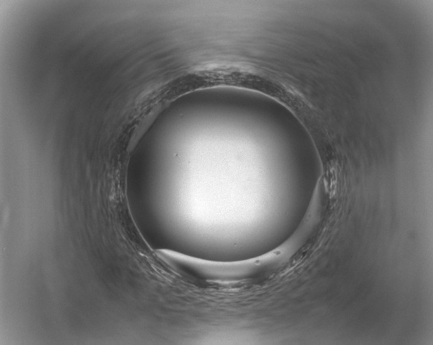 X0000054370965200508051551