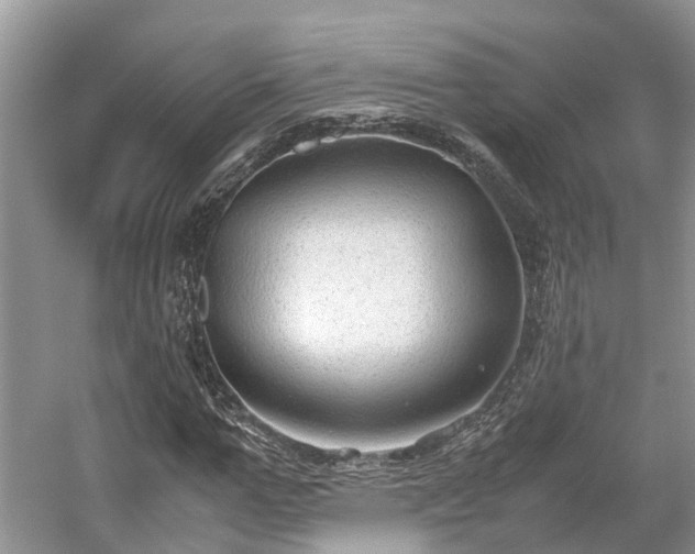 X0000054370967200508051551