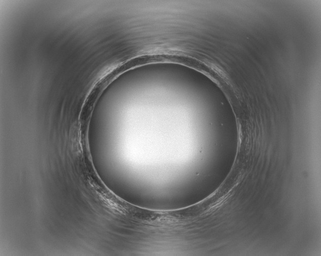 X0000054370974200508051551