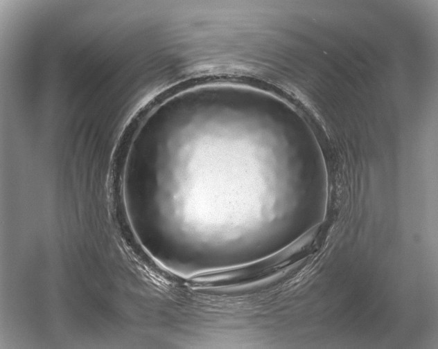 X0000054370975200508051551