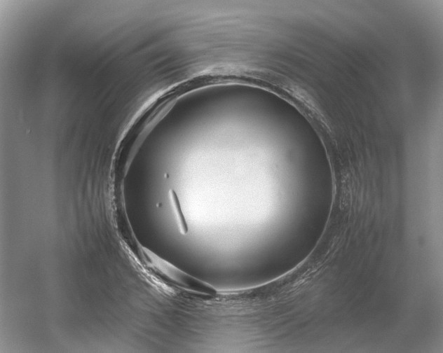 X0000054370976200508051551