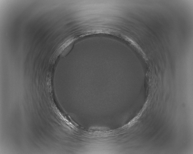 X0000054370977200508051551