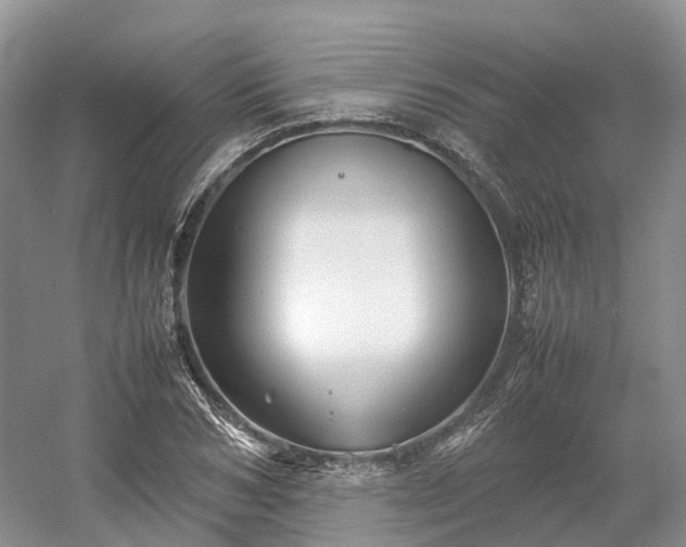 X0000054370978200508051551