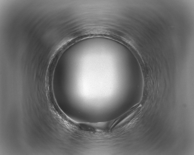 X0000054370979200508051550