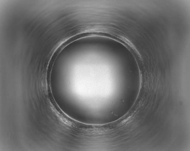 X0000054370980200508051550