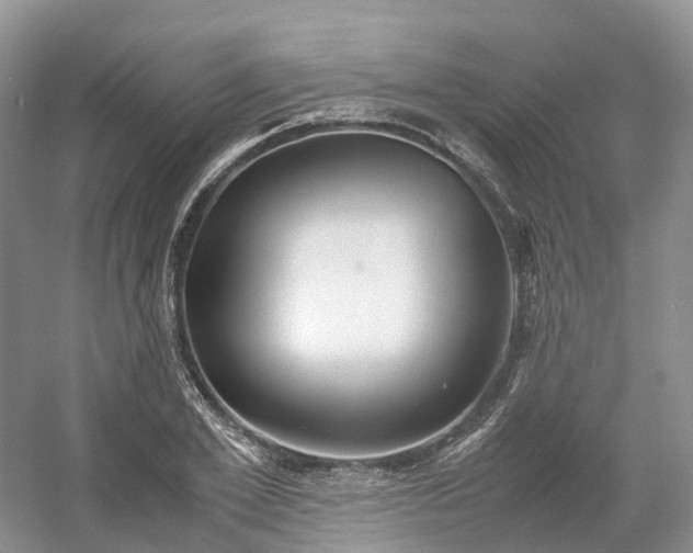 X0000054370981200508051550