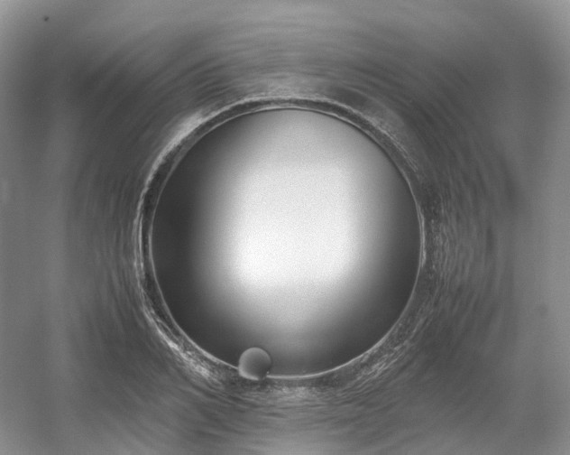 X0000054370982200508051550