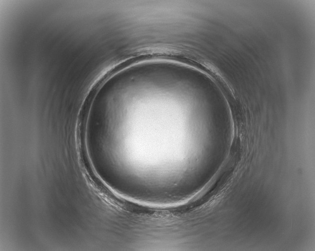 X0000054370983200508051550