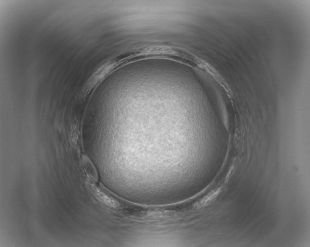 X0000054370985200508051550