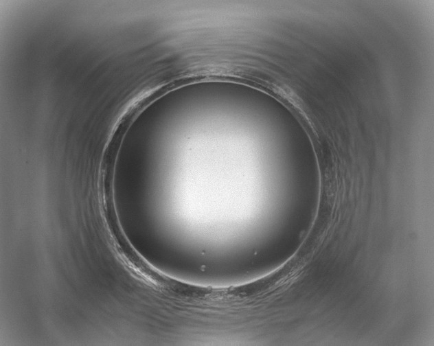 X0000054370987200508051550