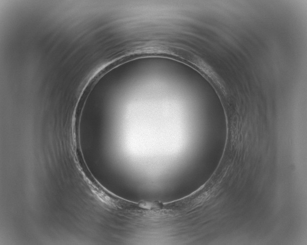 X0000054370988200508051550