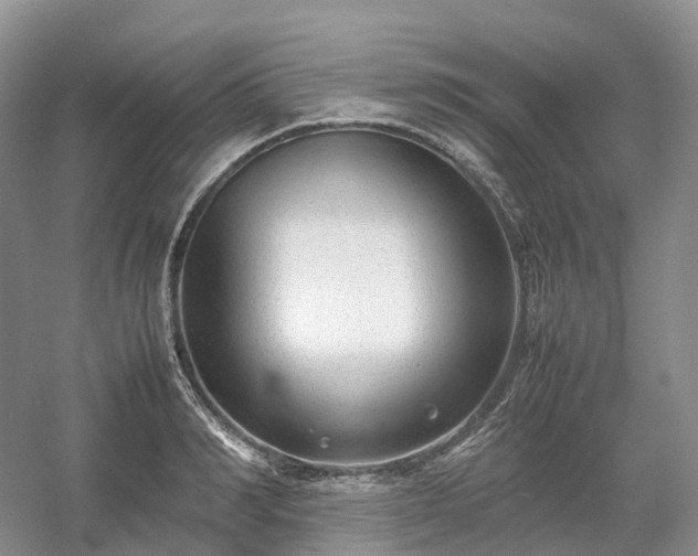 X0000054370990200508051550