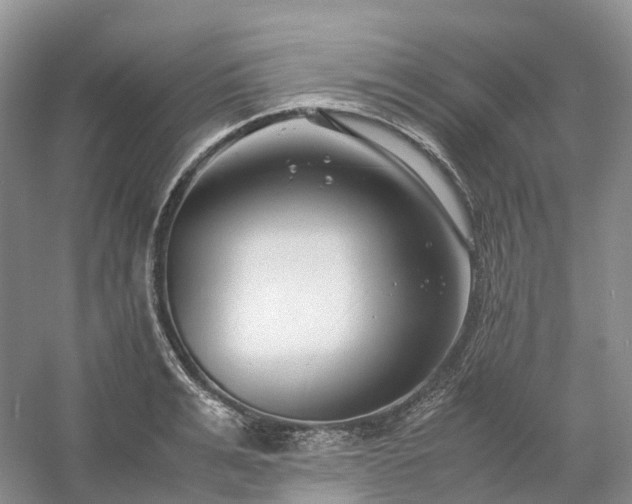 X0000054370991200508051550