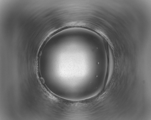 X0000054370992200508051550