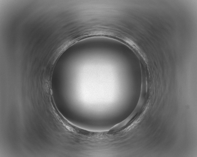 X0000054370993200508051550