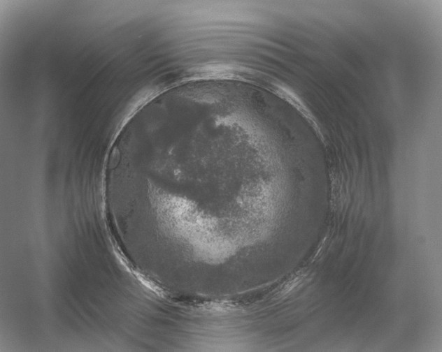 X0000054370994200508051550