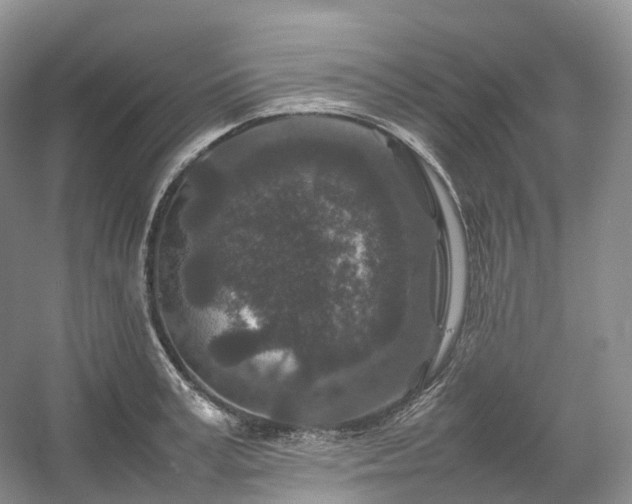 X0000054370995200508051550