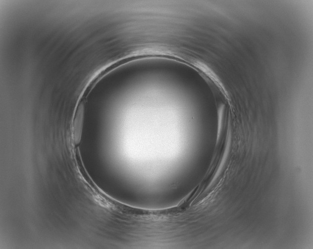 X0000054370996200508051550