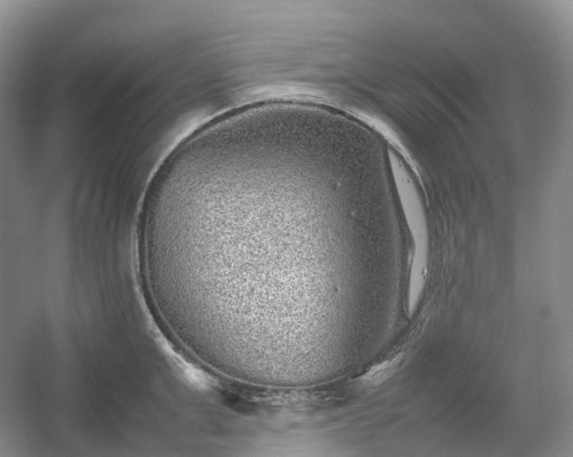 X0000054370999200508051550