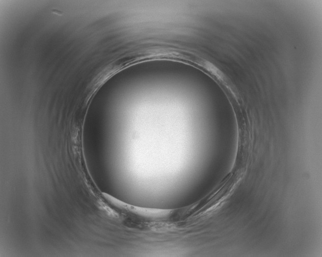 X0000054371001200508051550