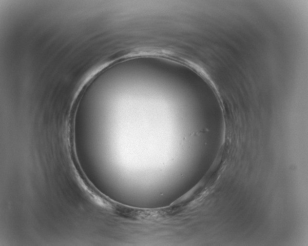 X0000054371003200508051550