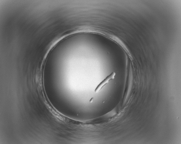 X0000054371004200508051550