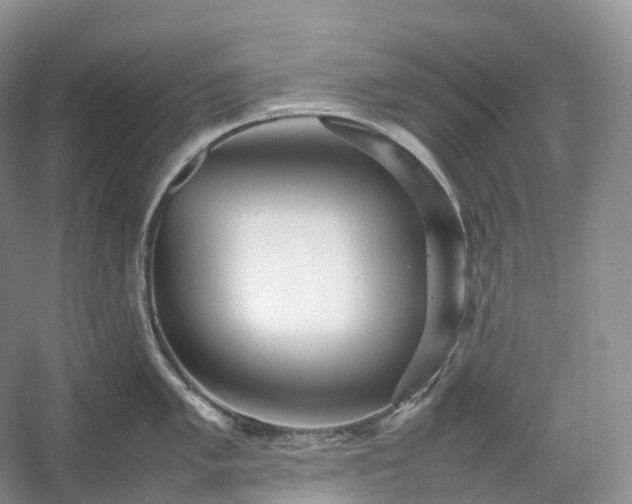 X0000054371005200508051550