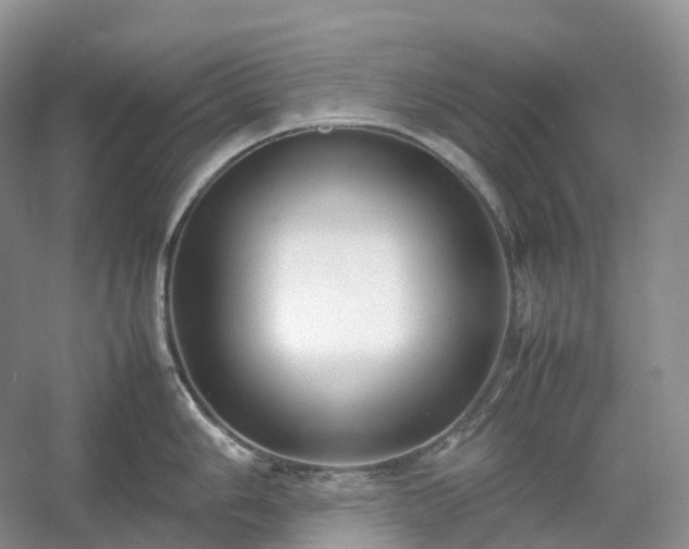 X0000054371006200508051550