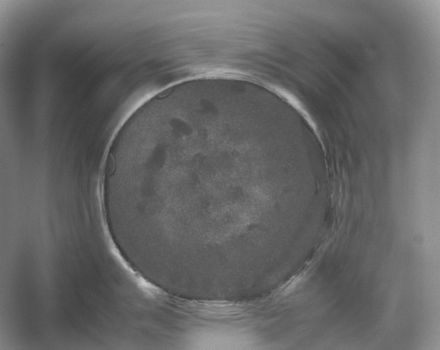 X0000054371007200508051550