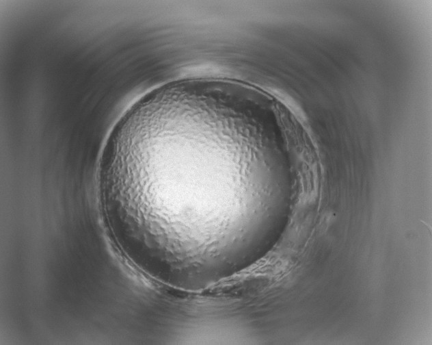 X0000054371008200508051550