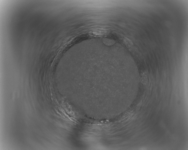 X0000054371009200508051549