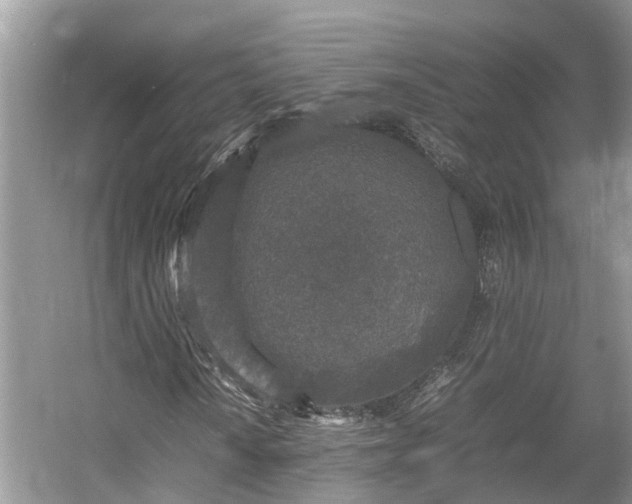 X0000054371010200508051549