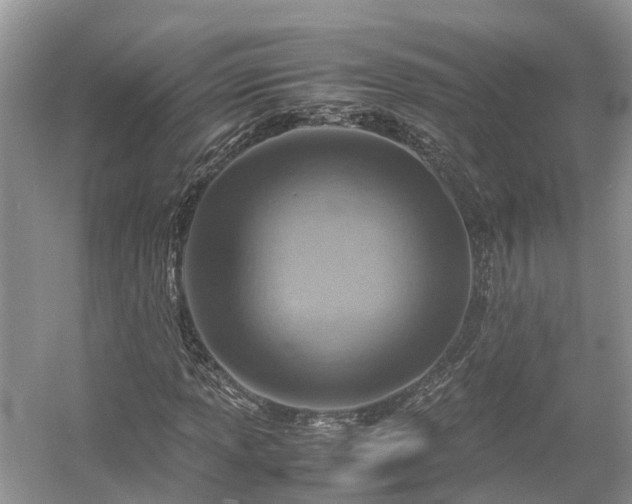 X0000054371013200508051549