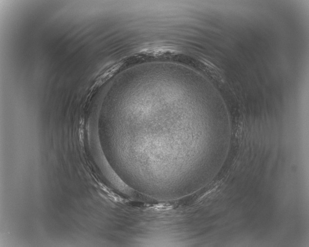 X0000054371014200508051549