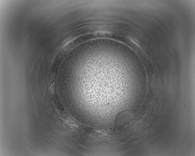 X0000054371015200508051549