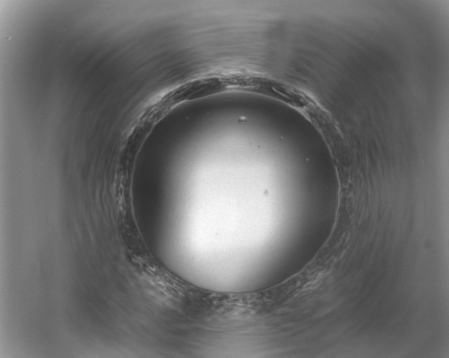 X0000054371016200508051549