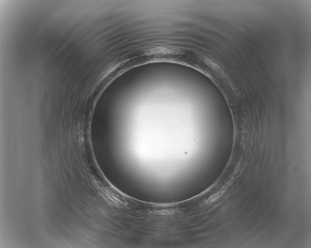 X0000054371017200508051549