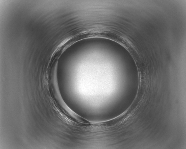 X0000054371018200508051549