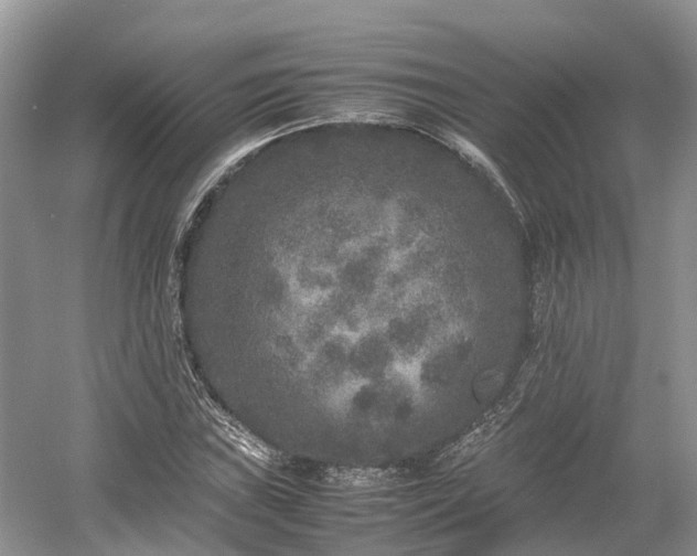 X0000054371019200508051549