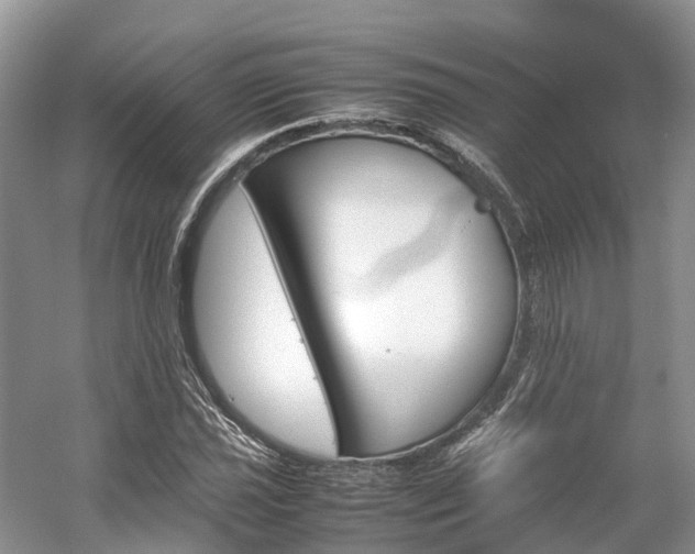 X0000054371021200508051549