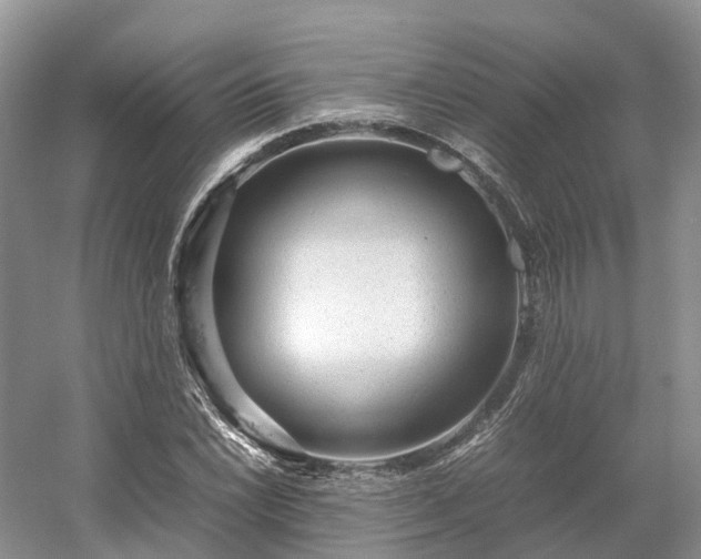 X0000054371022200508051549