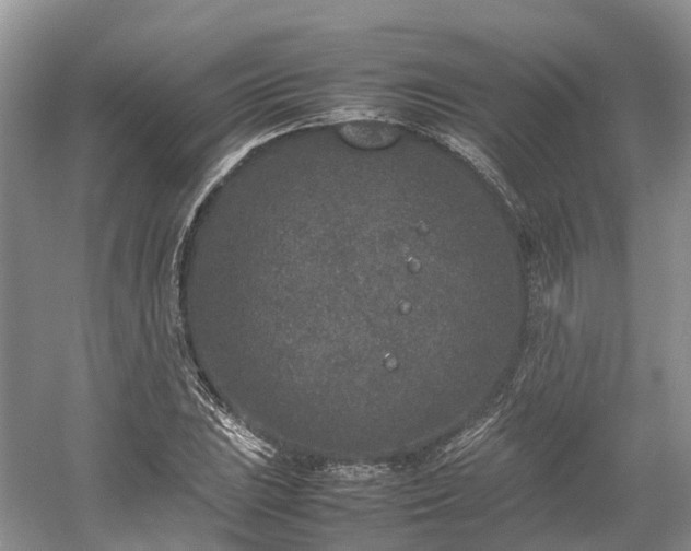 X0000054371023200508051549