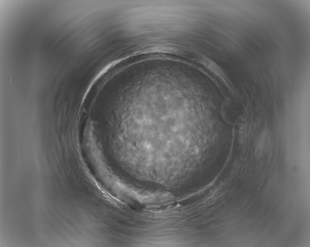 X0000054371024200508051549