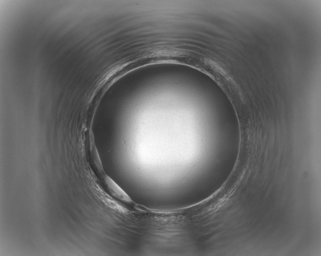 X0000054371025200508051549