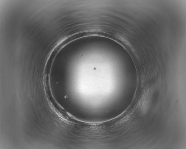 X0000054371029200508051550