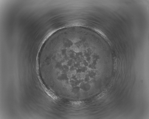 X0000054371031200508051550