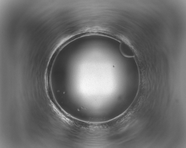 X0000054371032200508051550